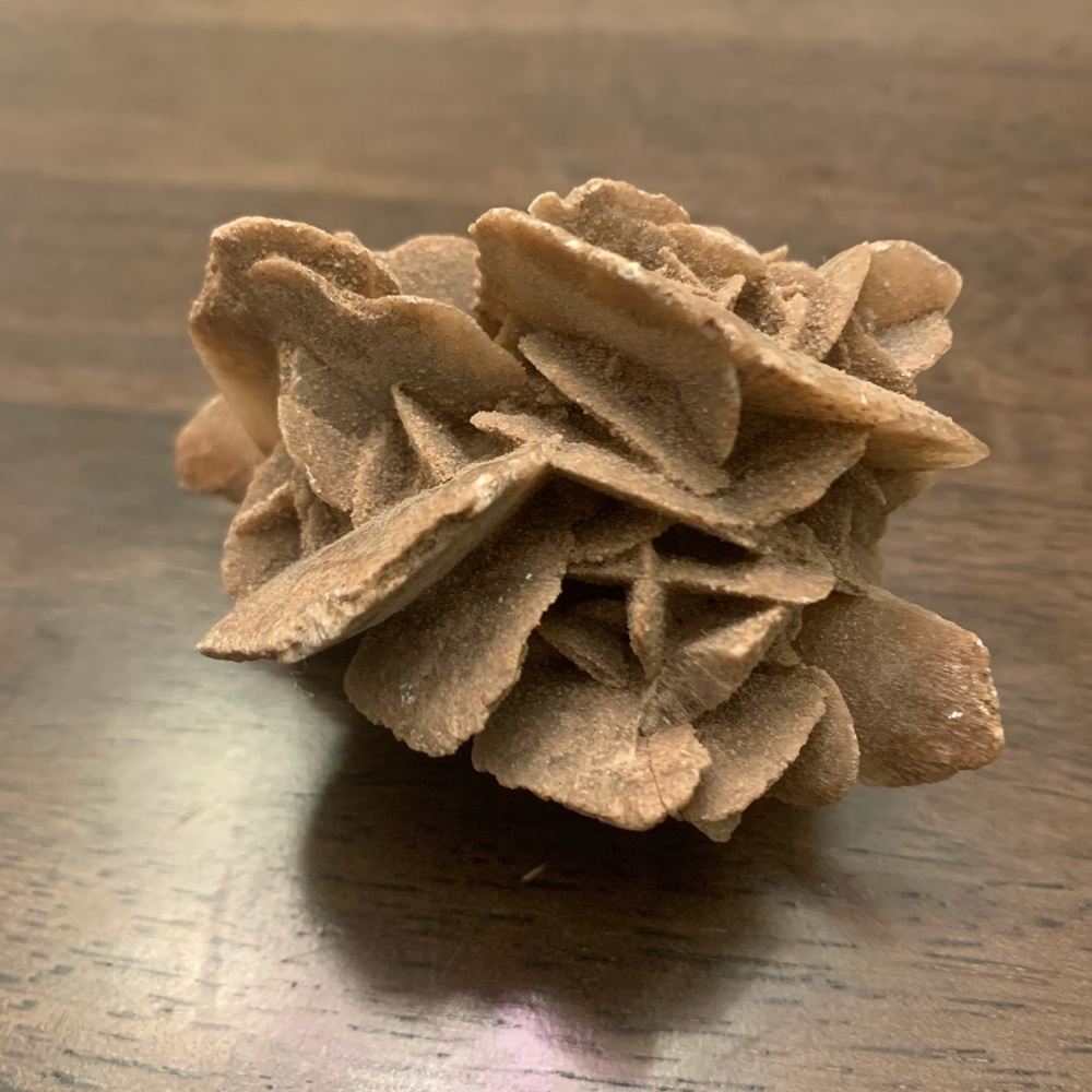 Beautiful Desert Rose